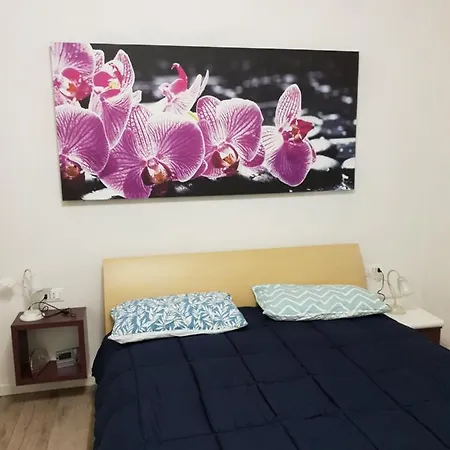 A Casa Di Elsa