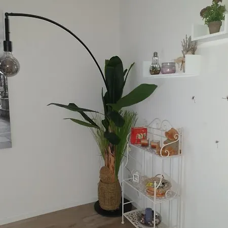 A Casa Di Elsa