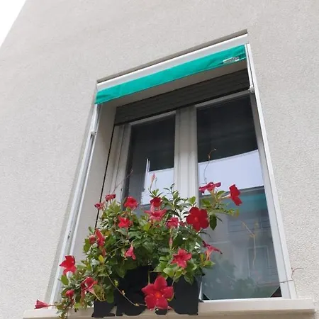 Apartment A Casa Di Elsa